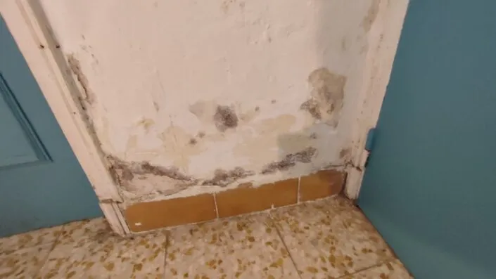 diagnostic humidité maine et loire 49