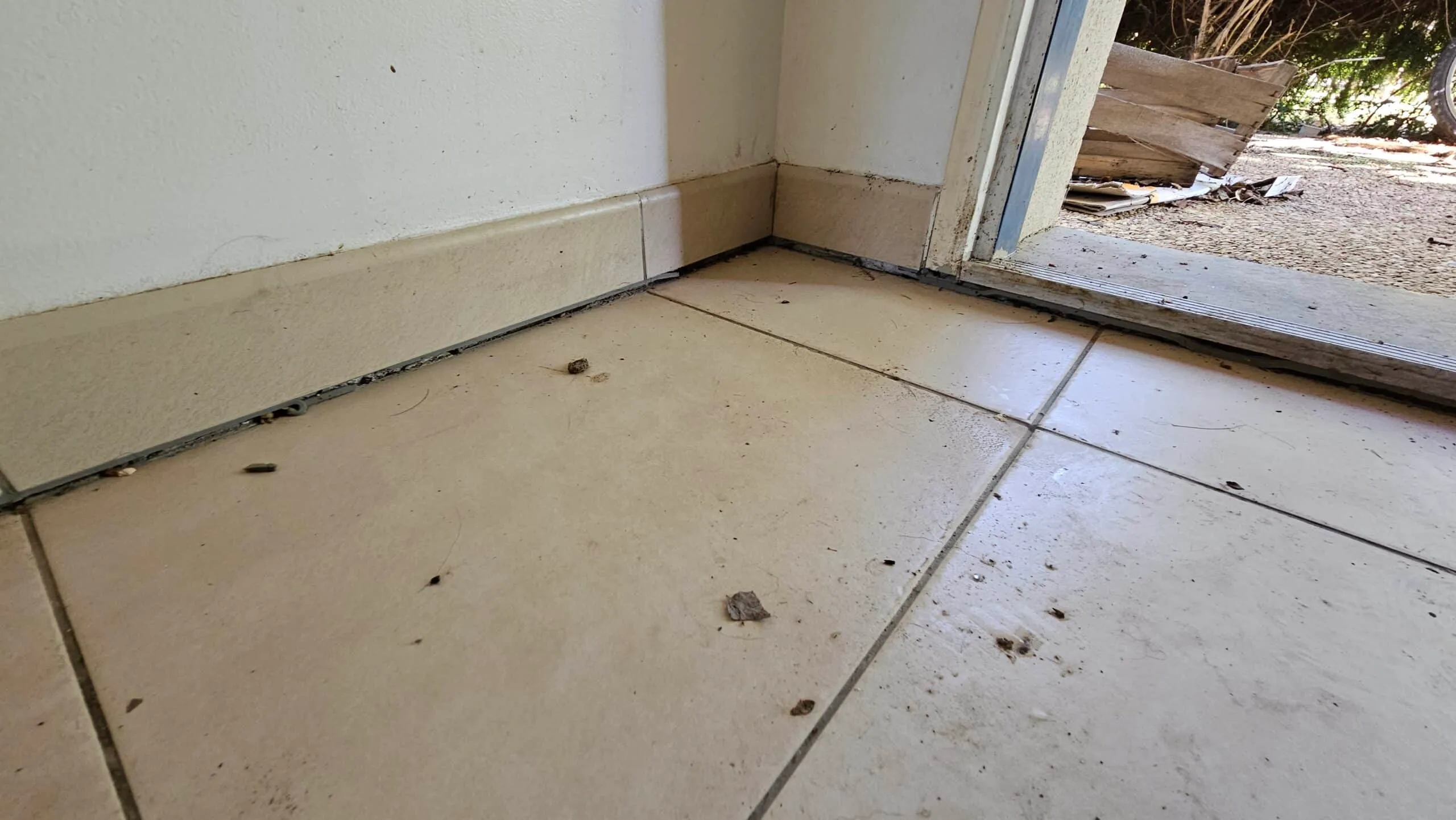 Expertise fissures Eure-et-Loir affaissement plancher dalle béton