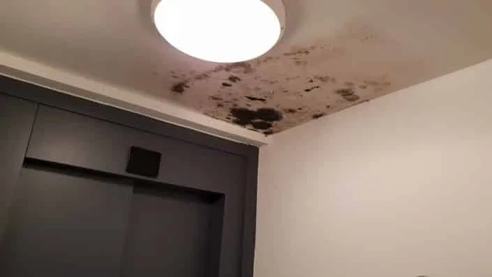 diagnostic humidité, traitement de l'humidité, moisissures, remontées capillaires