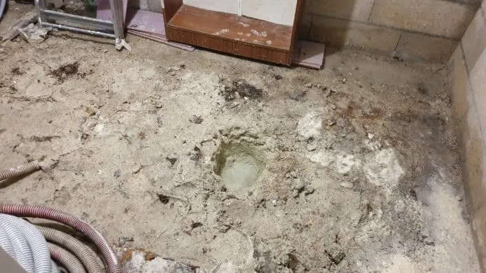 Sol argileux fissuré par la succion racinaire des arbres