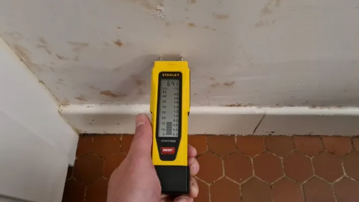 humidimètre à pointe