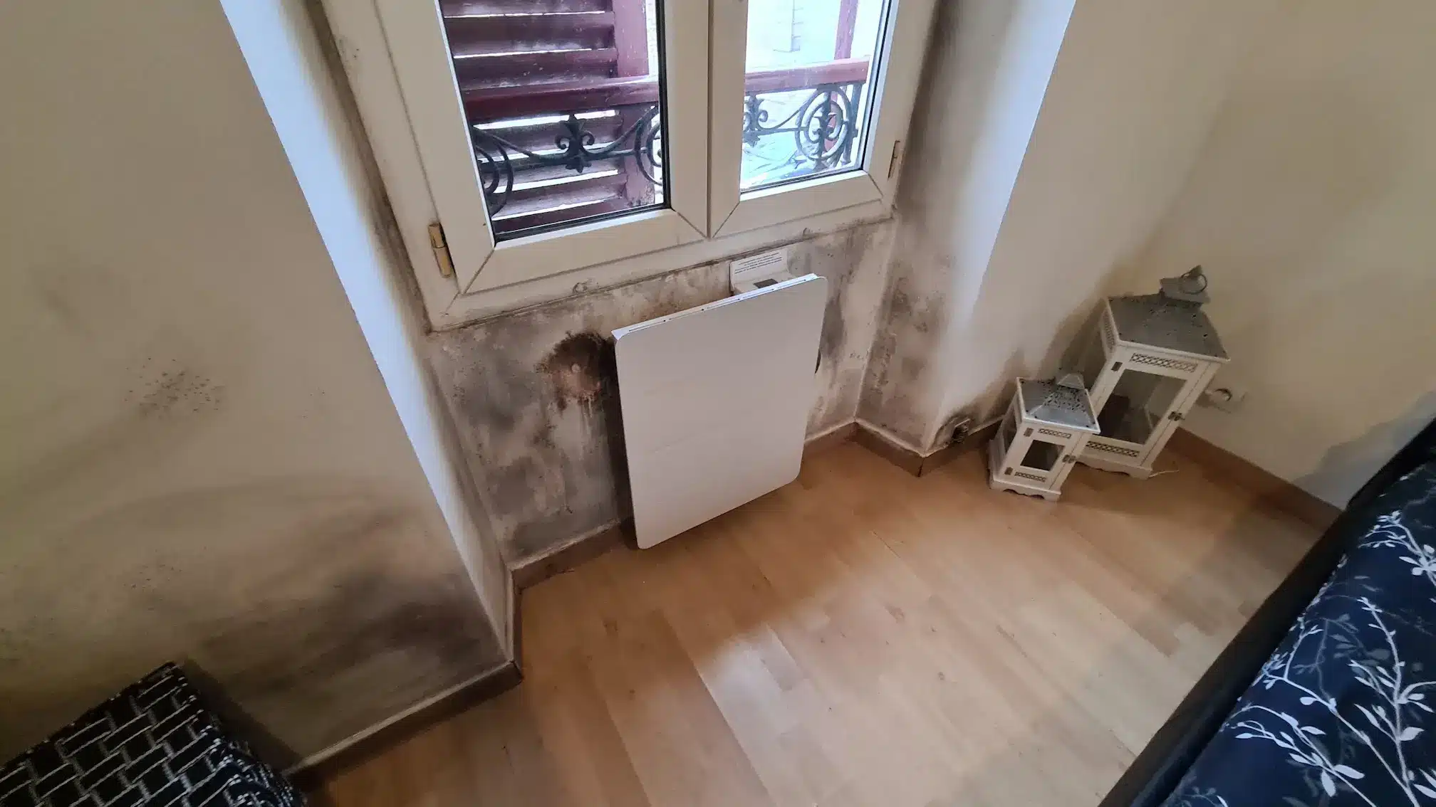 Humidité comment trouver expert indépendant sérieux moisissures condensation champignons taches noires