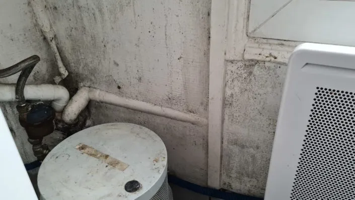 Problème de moisissure sur un mur humide